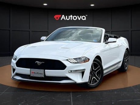 2019 Ford Mustang 2019 Ford Mustang